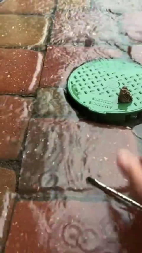 重庆旭阳教育 第393页