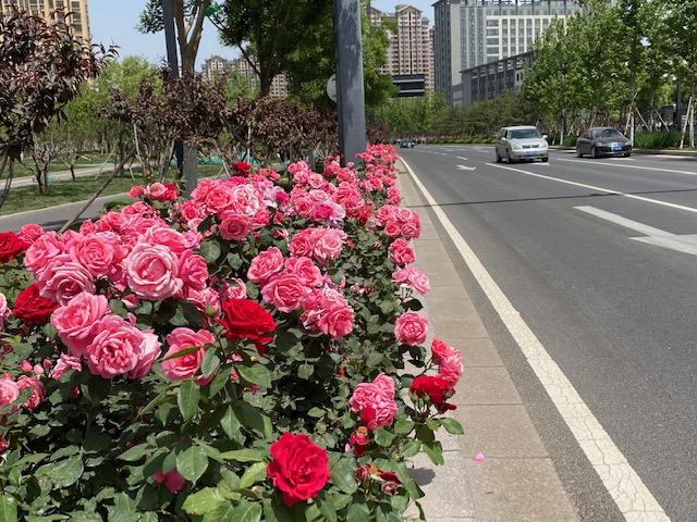 最新四环路带你领略独特城市风采