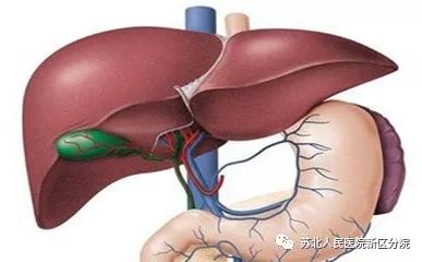 肝癌最新治疗方法详解，步骤指南