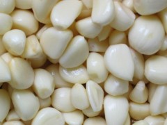 山东金乡大蒜最新行情报告，价格动态更新揭秘！