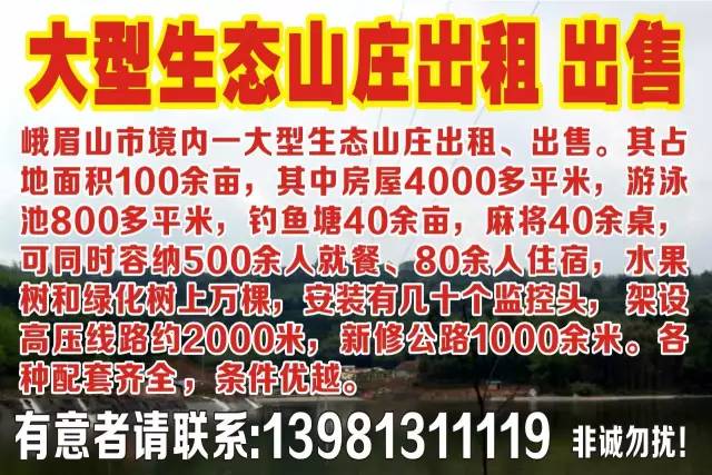 峨眉招聘网最新招聘信息，小巷深处的职业机遇