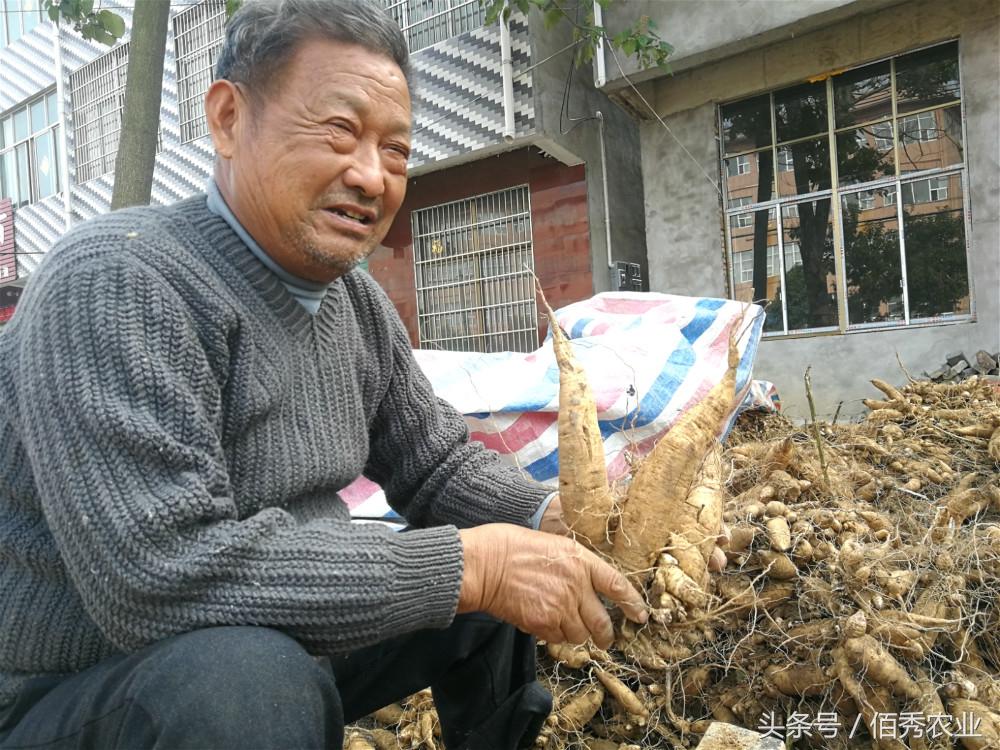 多元视角解读个人观察下的钱币市场最新行情