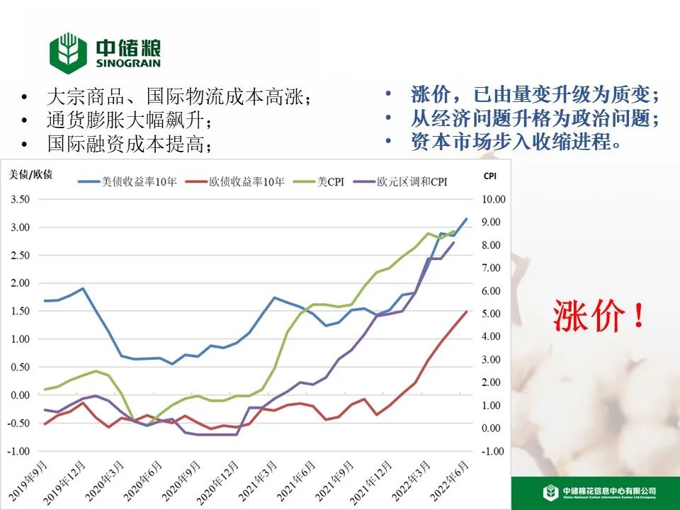 棉花最新行情深度解析，回顾与洞察