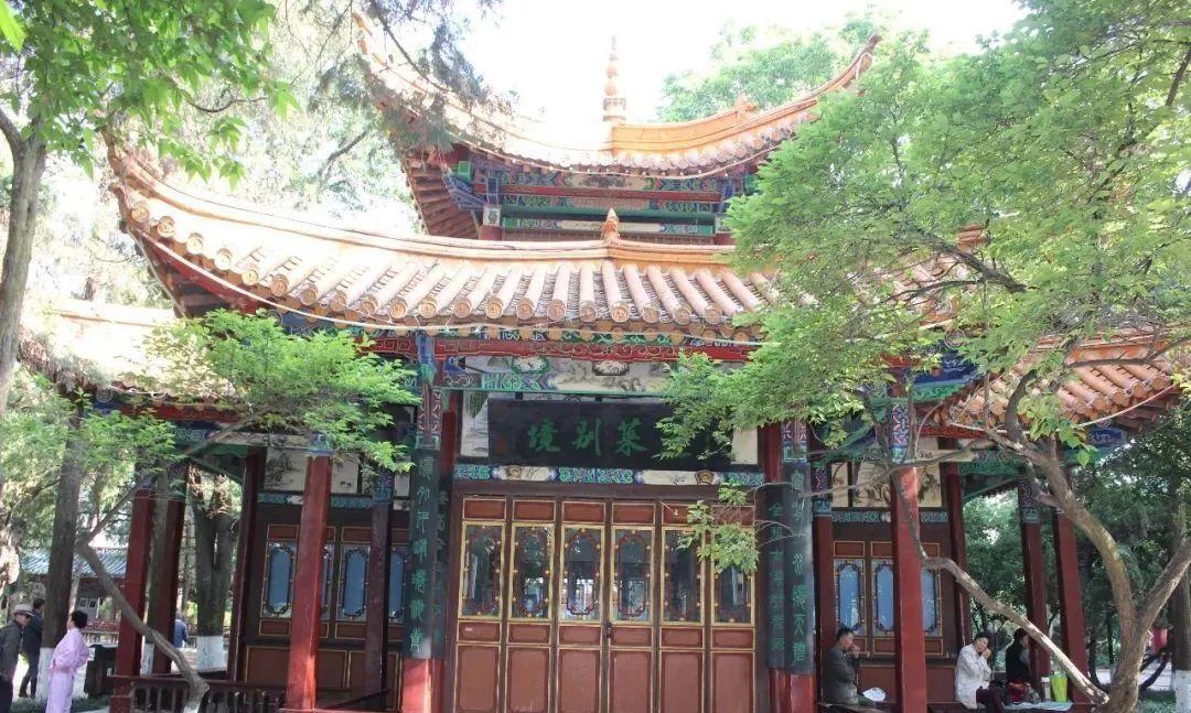 荣耀手机最新探索，自然美景之旅，内心平和宁静的追求