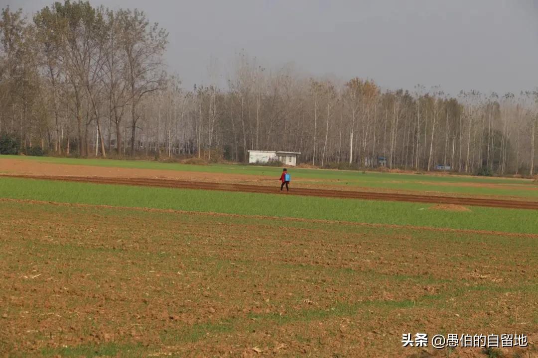 最新煤气报价，旅程中的宁静与美景探寻