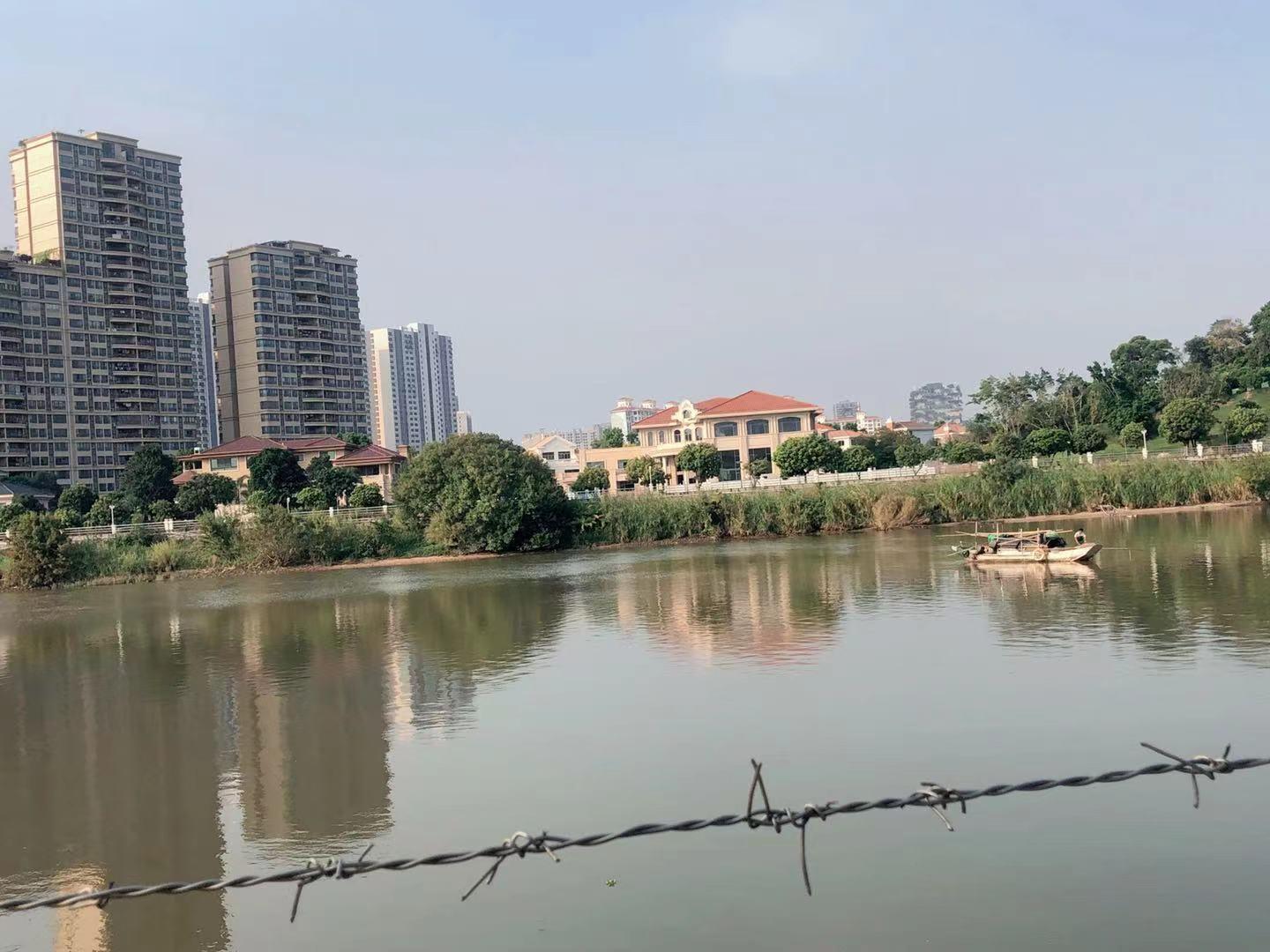 欢乐日常最新动作，小趣事的惊喜展现