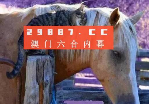 二四六澳门免费全全大全,信息明晰解析导向_创意版95.562