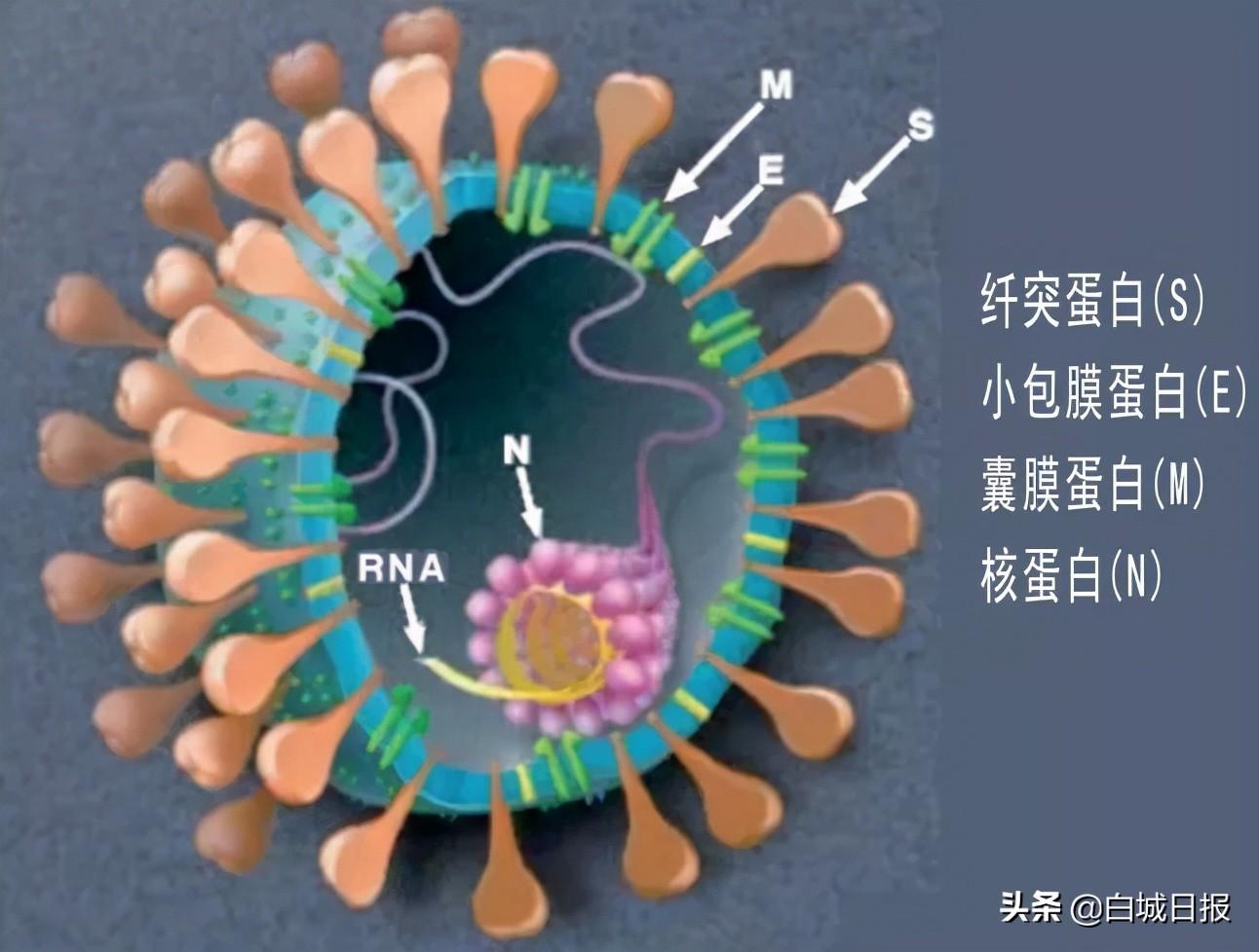 旭阳教育特训学校 第275页