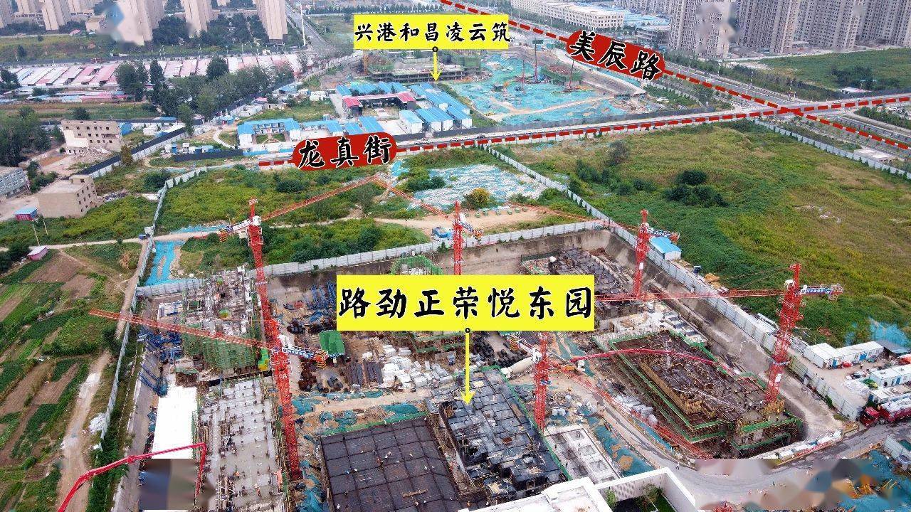 园际疫情最新动态更新