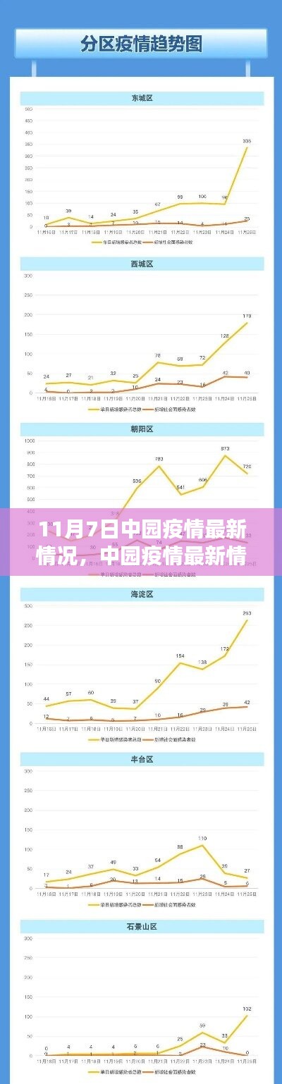 全省疫情最新进展详解，初学者与进阶用户的步骤指南