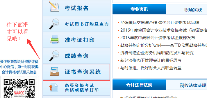 探索最新会计科目编码的奇妙旅程，温馨小故事与编码秘籍分享