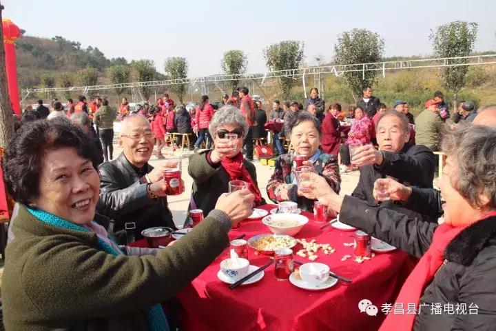孝昌家最新厨，现代厨房的革命与创新，引领行业新潮流