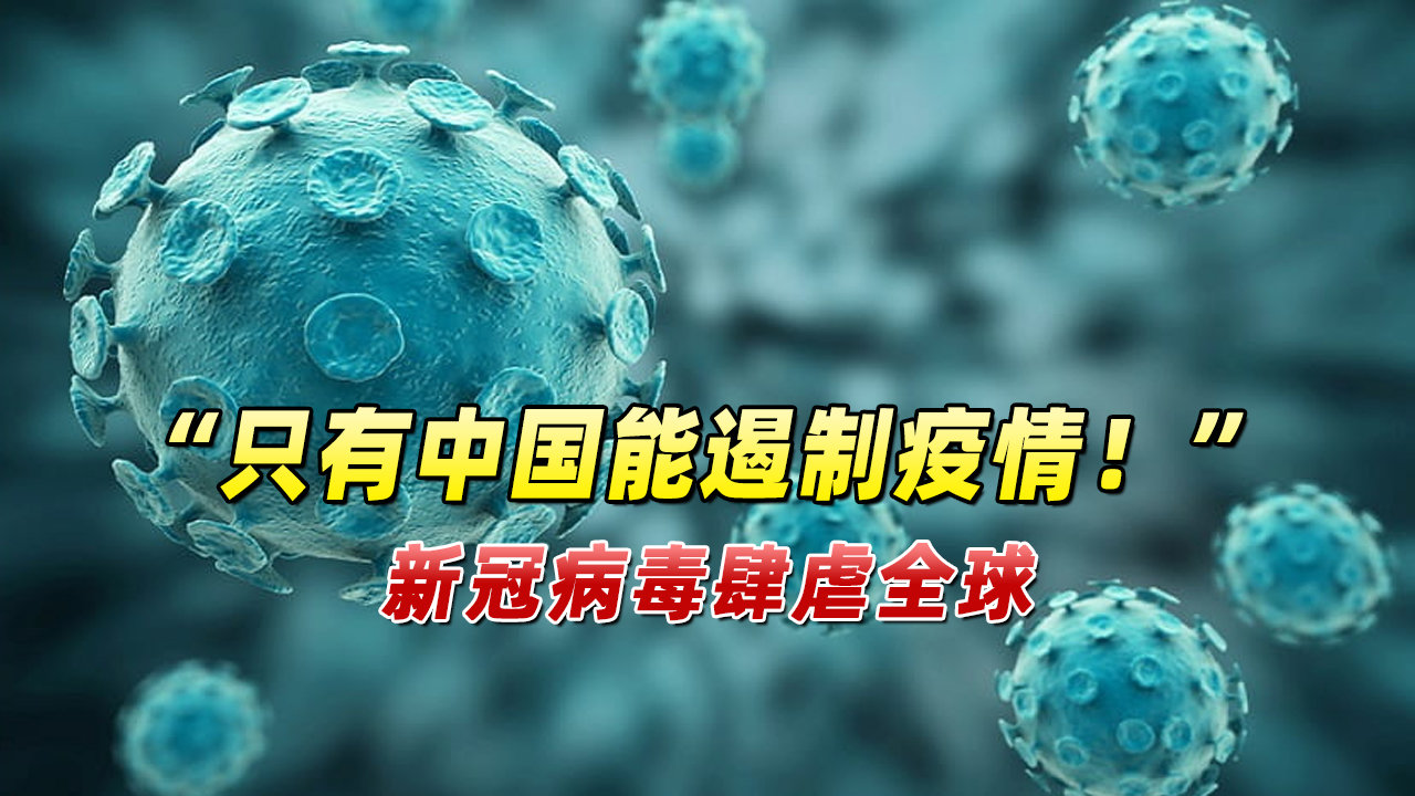全球病毒疫情最新挑战，新增病例与应对策略的双重考验
