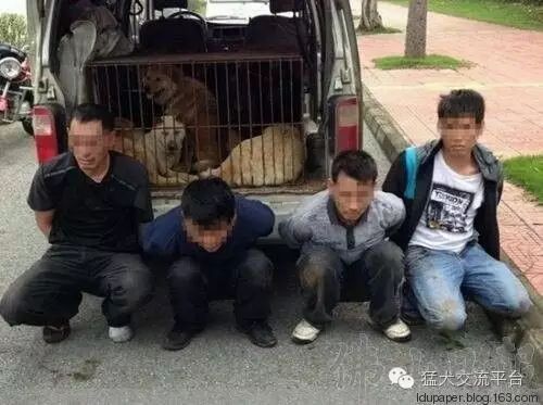 北海红灯区警示，色情场所非法，警惕身心健康风险