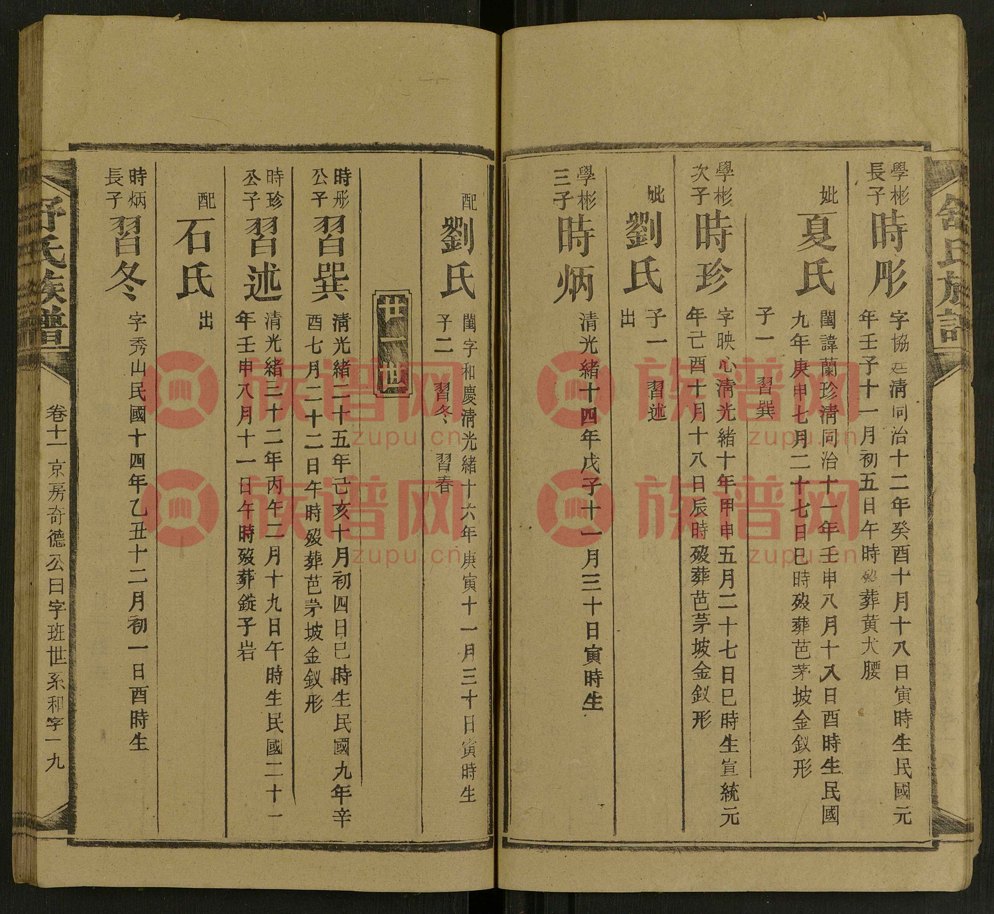 舒氏最新家谱编写指南及家族历史研究标题分享