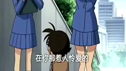 约战最新版，日常趣事与深厚友情交织的纽带