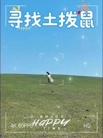 杨晋柏最新职务，与自然美景的邂逅，内心平和之旅启程