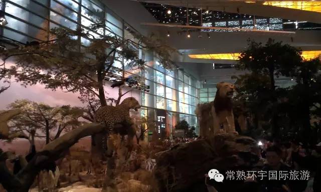 旭阳教育特训学校 第228页