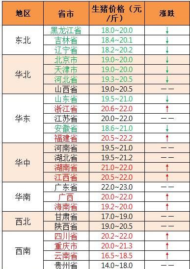 广东生猪价格最新动态，变化中的学习成就与自信之源