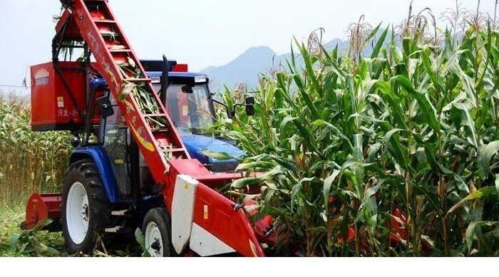 托管最新经营模式探讨与解析