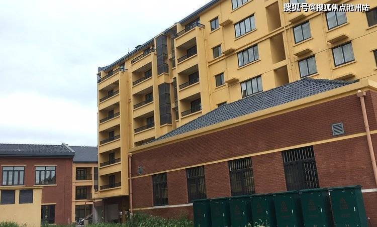 心肺领域最新动态，深度观点阐述与全面分析