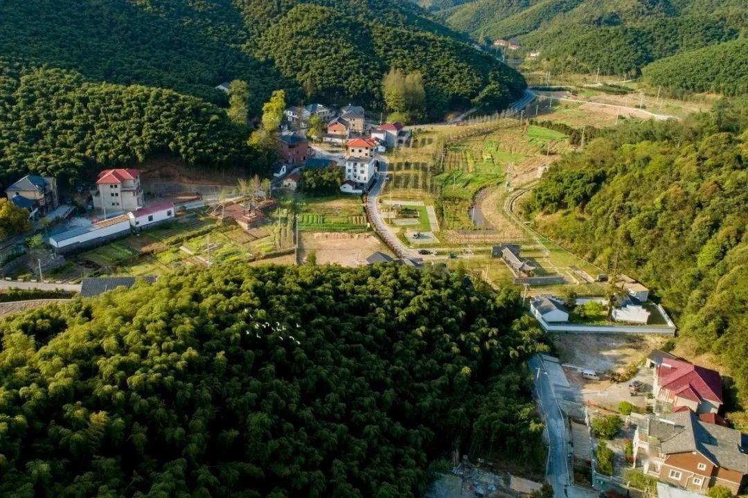 云雀最新动态，启程自然之旅，探寻美景与内心宁静的力量