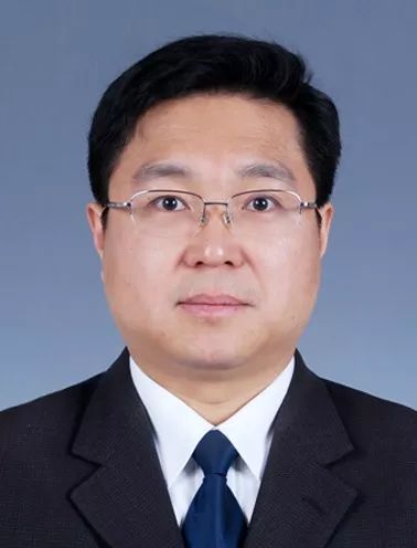 王桂荣最新持股动向，股市中的温情日常观察