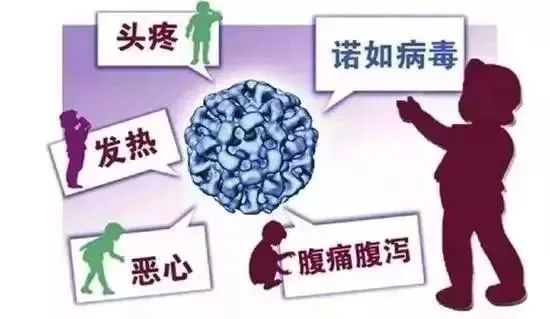 三明病毒最新动态，背景、事件回顾与影响分析