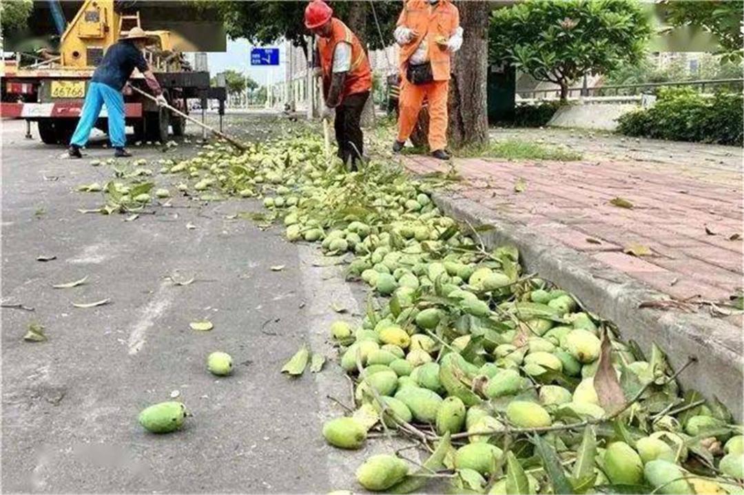 芒果TV最新推理综艺自然之旅的奥秘，启程探索内心平静之美
