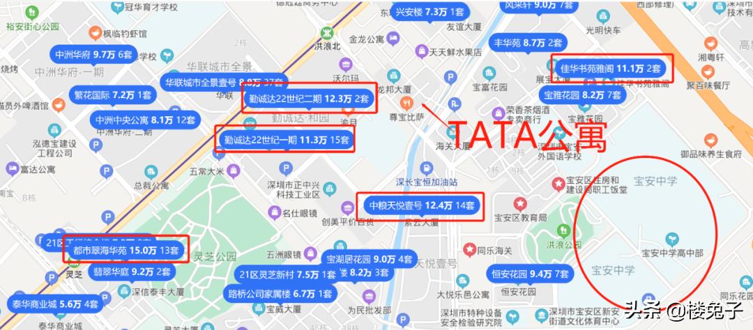 深圳湾最新成交，温馨有趣的日常故事开启
