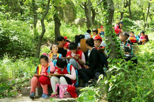 变化中的学习之旅，挽尊最新章节与自信成就感的源泉