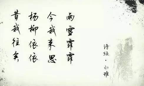 最新网名古文系列，自信破浪，成就辉煌人生之路