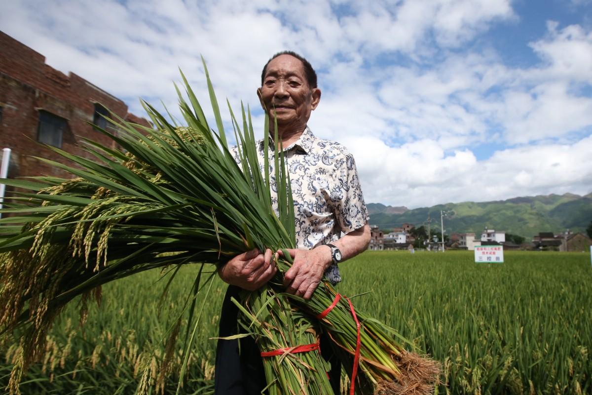 袁隆平孙女分享水稻种植与农业技术学习指南，最新视频揭秘农业传承之路