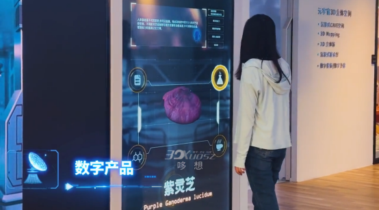 秋霞最新科技新品重塑生活，前所未有的智能体验之旅