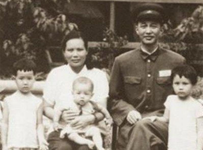 洪学智电视剧，日常趣事与友情纽带，展现真挚情感连接