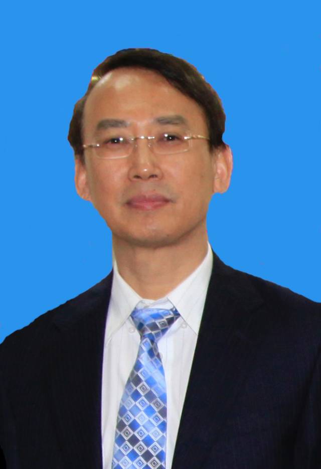 异体手移植研究突破新边界，重塑可能性探索