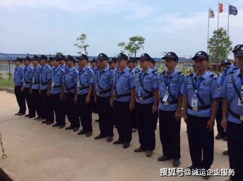 任长霞演员表大全，详细步骤指南及演员阵容揭秘
