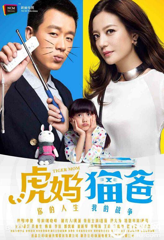 小爸爸电视剧演员表，星光璀璨的小巷故事