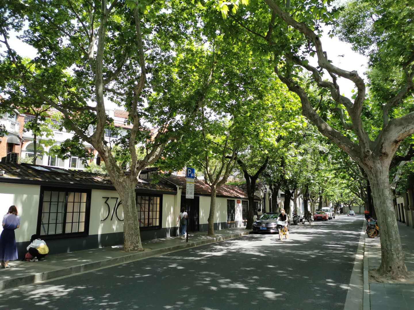 上海最新店铺招牌，潮流打卡新地标，火热出炉！