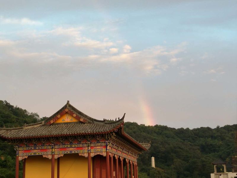 武汉万寿禅寺科技融合传统，智慧点亮禅意生活最新动态