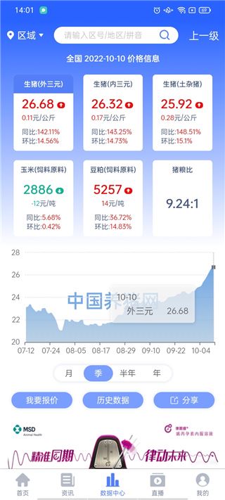 掌握猪价行情必备工具，猪价行情宝下载指南及科技引领新生活