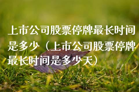 上市公司停牌最长时间，变化、学习与自信的旅程探索