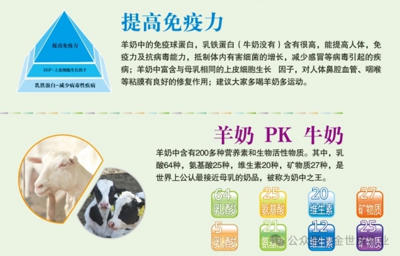 五零牧场羊奶最新事件揭秘，选购与品鉴优质羊奶的指南