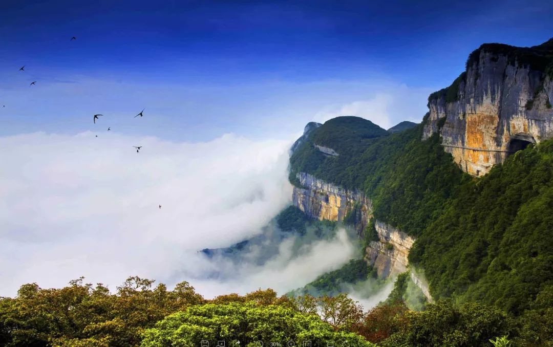 台山籍明星与自然美景的邂逅，寻找内心平和之旅