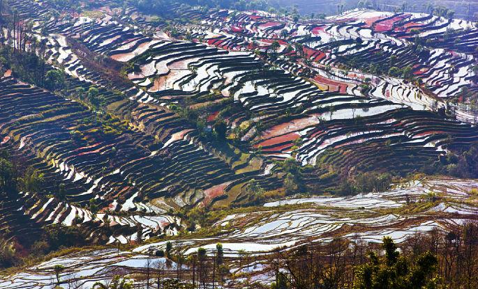 百胜软件上市，自然美景之旅的邀请启动