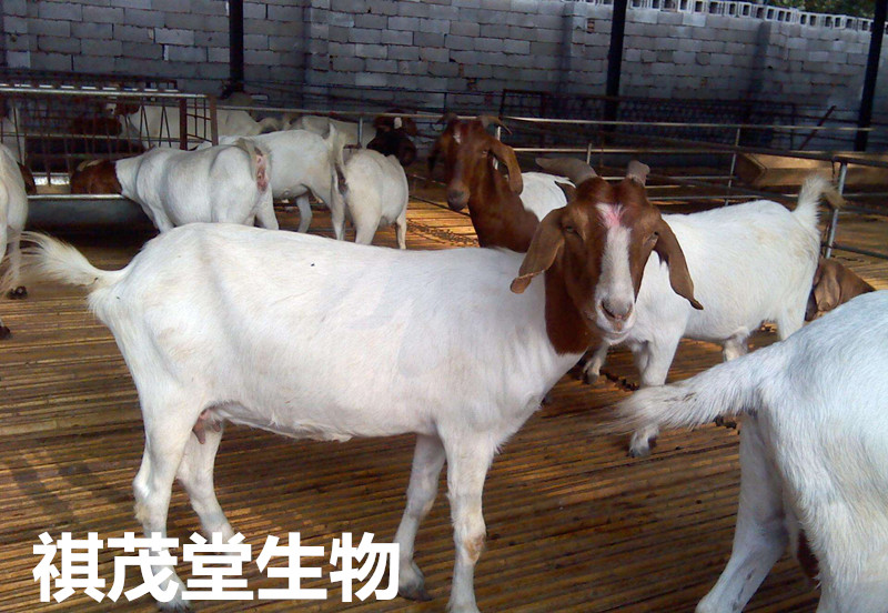 旭阳教育特训学校 第186页