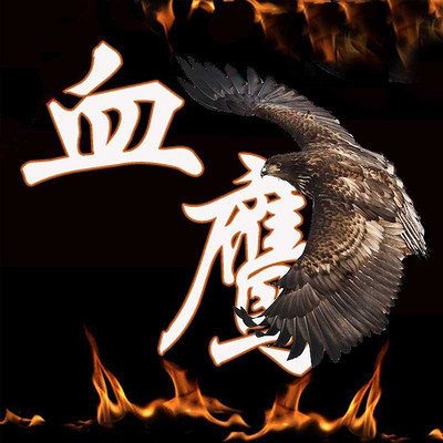 血鹰领主章节目录全览