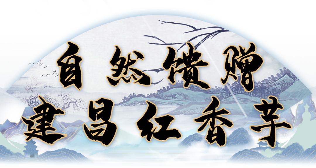 山水画比赛，墨韵中的友情与心灵陪伴
