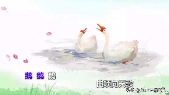 苹果7上市年份与成长之路，变化中的自信与成就感