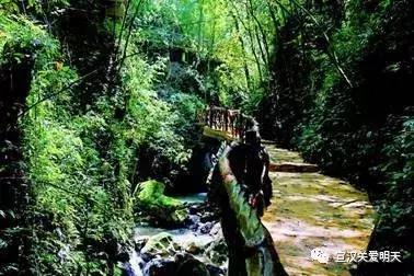 最新科技股动态，心灵与自然的完美交融之旅